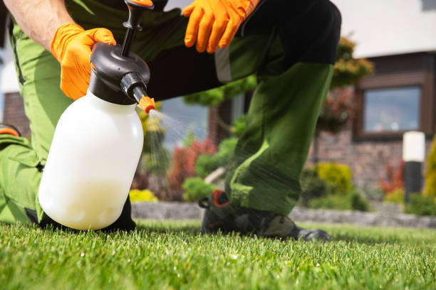Best Best Pest Control Companies  in Winthrop, MN