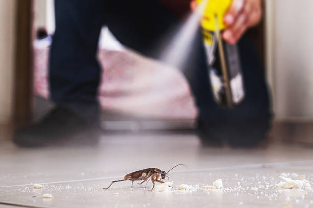Best Local Pest Control Services  in Winthrop, MN