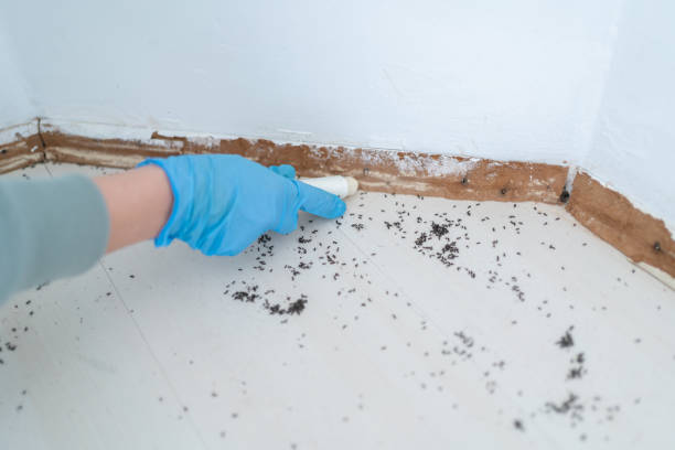 Best Wildlife Control Services  in Winthrop, MN