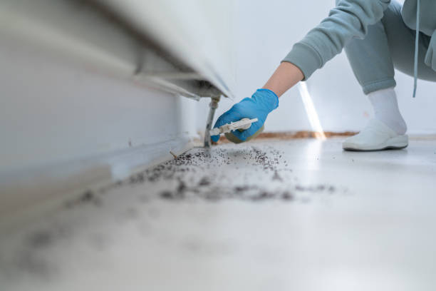 Best Flea Control Services  in Winthrop, MN
